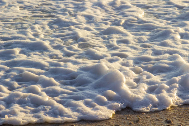 istock Sea foam on the shore at sunset 1185447740