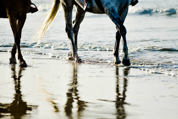 two young riders on a walk on the beach