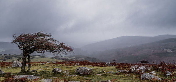 Early November storm over Dartmoor