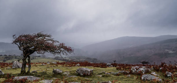 November rain Early November storm over Dartmoor outcrop stock pictures, royalty-free photos & images