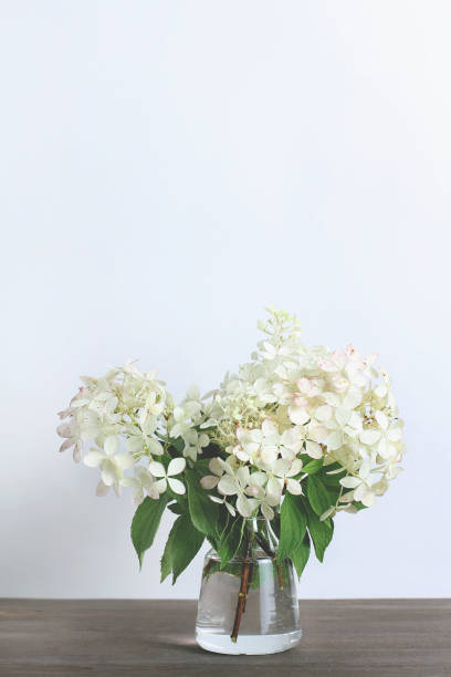 istock bouquet of white flower hydrangeas on a wooden background. vertical frame 1185452414