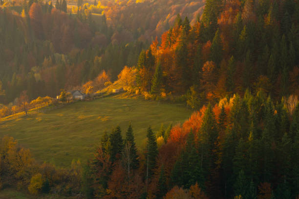 istock Autumn foliage trees in the mountains. Meadow with haystack and forest in the Carpathian mountains 1185452486