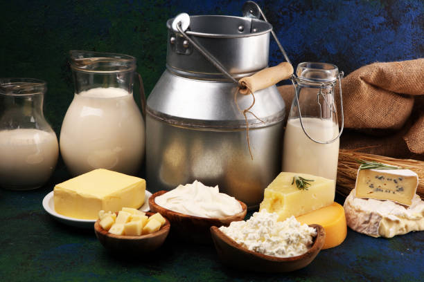 istock Different  healthy dairy products on rustic background with milk, cheese, butter and cottage 1185454365