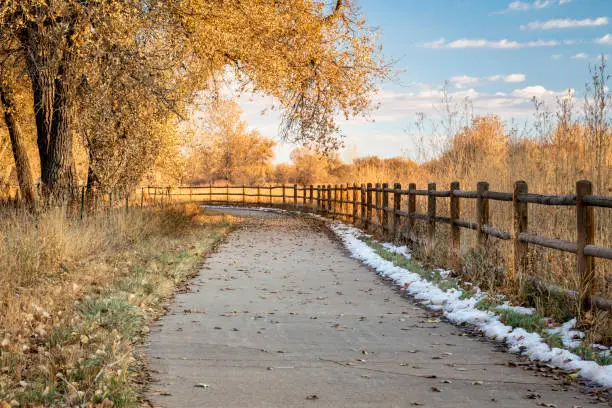 late fall scenery on a bike trail with cottonwood trees - Poudre River Trail in northern Colorado