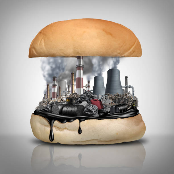 istock Industrial Chemicals In Food 1185458508