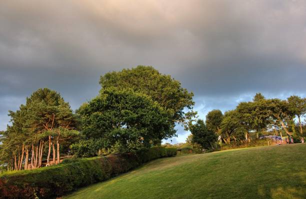 istock Evening sunset with trees over English countryside landscape from a hill peak. 1185458901