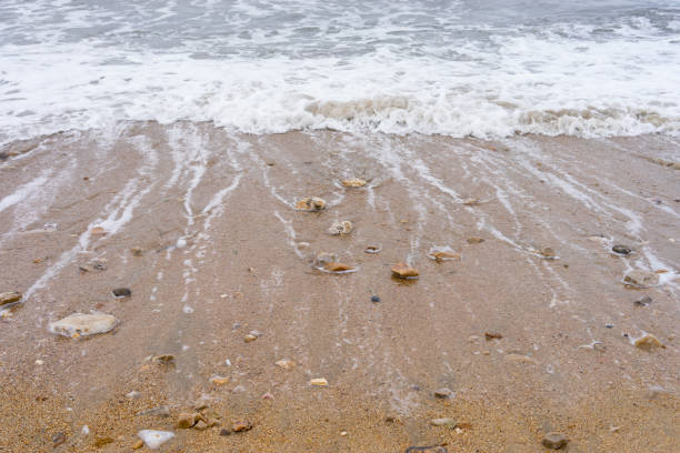 Stones at a pebble sandy beach at the Jurassic Coast near Charmouth England with the sea water withdrawing