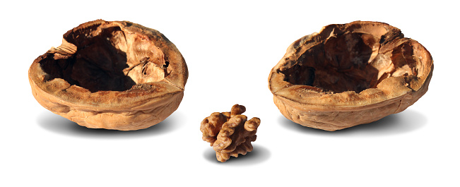 Atrophy concept as a small nut inside a big walnut shell as a brain shrinkage and dementia medical symbol or metaphor for disappointment and disapointed undeveloped result or as a business failure symbol.