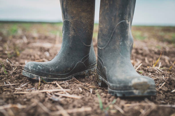 istock Muddy gardening boots 1185460553