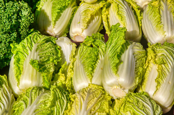 full frame green napa Cabbage at the farmer's market