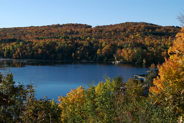 istock Muskoka Lake 118546282