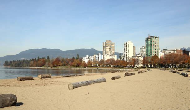 English Bay Beach in Vancouver's West End Neighbourhood Autumn afternoon on a quiet beach. Background shows the forest of Stanley Park and the high-rises of the West End. beach english bay vancouver skyline stock pictures, royalty-free photos & images