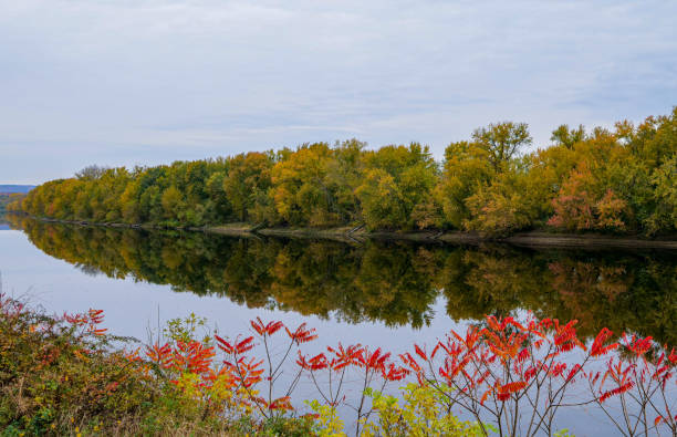 вид на реку коннектикут, в нортгемптоне, штат массачусетс, в октябре - река коннектикут стоковые фото и изображения