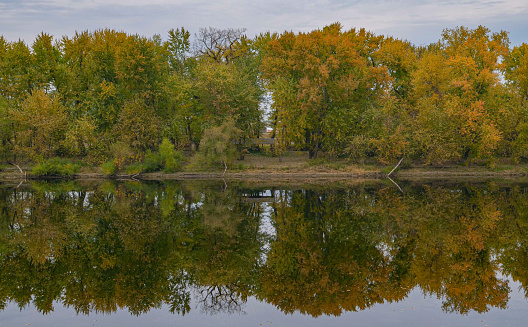 Reflections in the Connecticut River, in Northampton, Massachusetts, during October