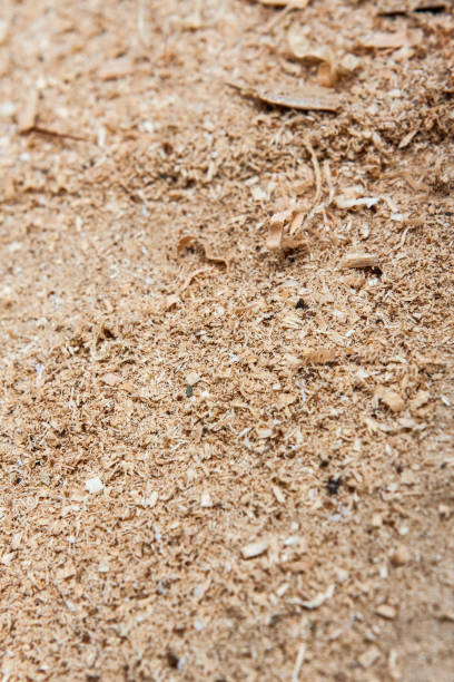 Sawdust portrait stock photo