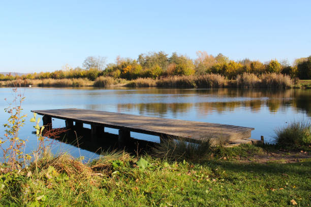 istock Wooden pier on a lake 1185472024