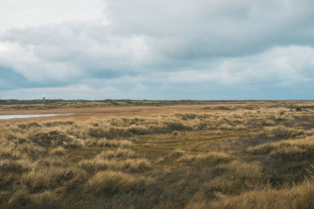 istock Grenen cape near Skagen, Denmark 1185473671