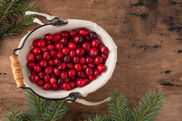 istock Cranberries in bowl on wooden background. Copy space. 1185474312