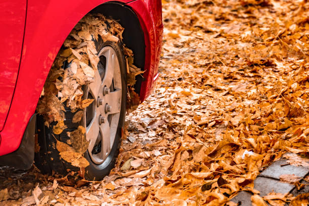 istock red car wheel in autumn leaves 1185474516