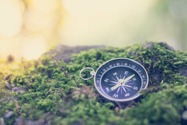 istock Adventure: Compass is lying on the dry floor, showing the direction 1185474635