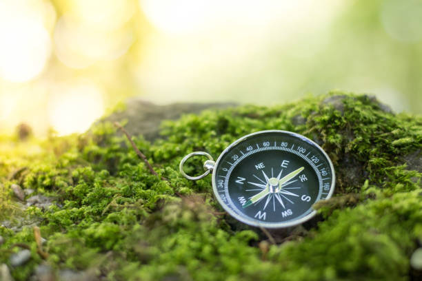 istock Adventure: Compass is lying on the dry floor, showing the direction 1185474666