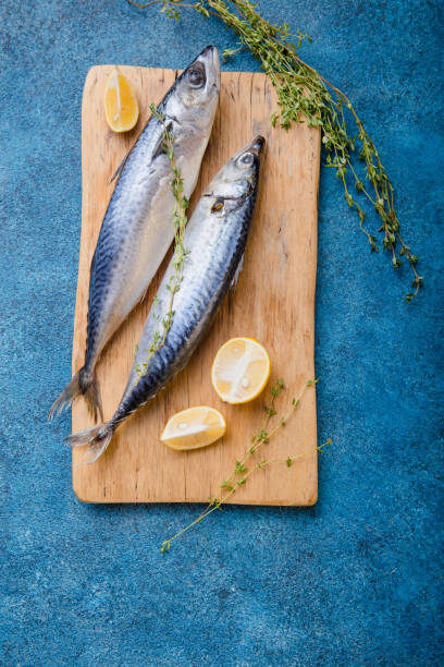 istock Atlantic bonito Sarda or Palamida that is large mackerel-like fish 1185475876