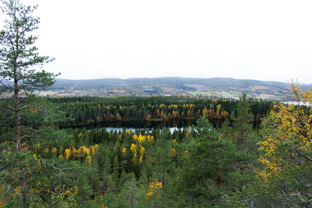 istock Lake, forest and mountain view in Sweden 1185479939