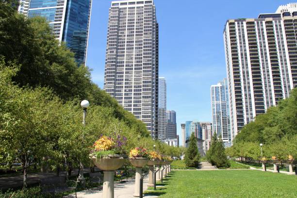 Lurie Garden in Millennium Park. Chicago, USA Chicago skyline seen from Lurie Garden in Millennium Park lurie stock pictures, royalty-free photos & images