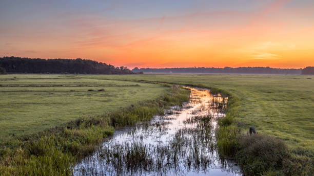 istock Sunset Landscape of lowland river 1185485468