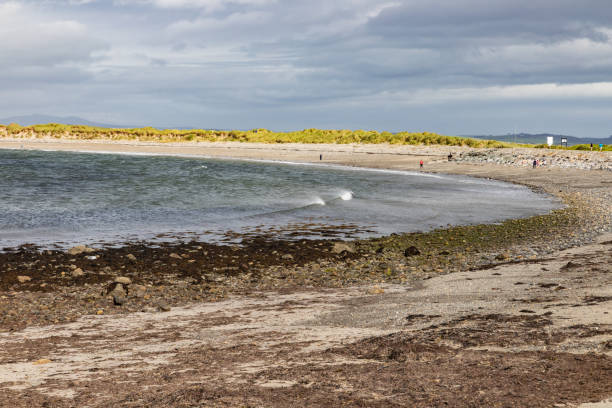 istock Waves and rocks at Bertra beach in cloudy day 1185487989