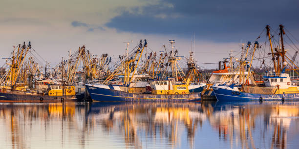 istock Fishing ships during majestic sunset 1185490232