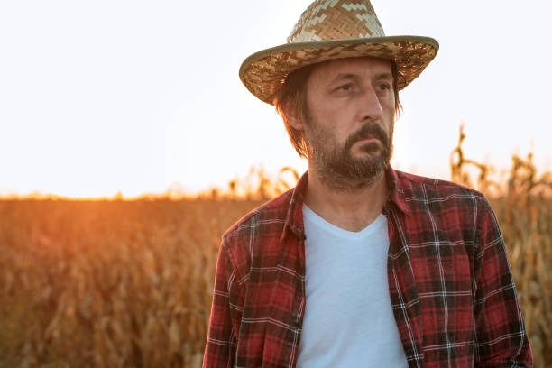 istock Thoughtful concerned corn farmer agronomist posing in maize crop field 1185495613