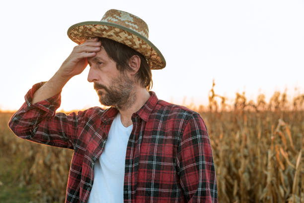 istock Thoughtful concerned corn farmer agronomist posing in maize crop field 1185495617