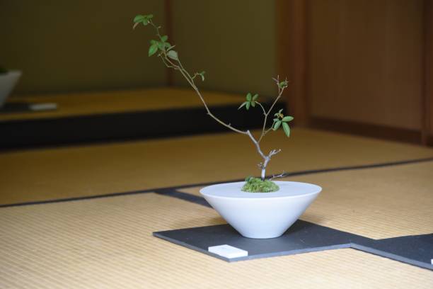 istock Traditional Japanese house 1185496090
