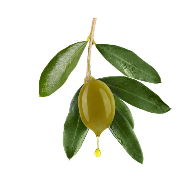 istock Single green olive with leaves and oil drop, isolated on white background 1185497529