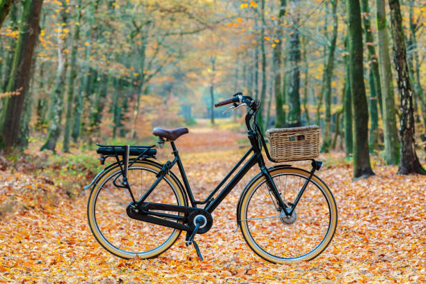 Dutch electric black cargo bicycle with basket Dutch electric black cargo bicycle with basket in national park Veluwezoom gelderland photos stock pictures, royalty-free photos & images