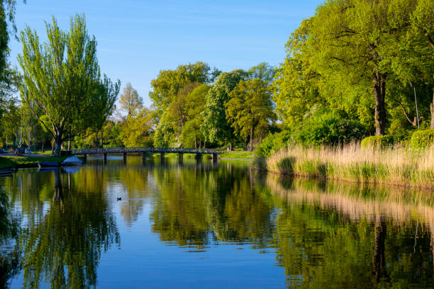 istock Singelgracht in Alkmaar, Netherlands 1185500316