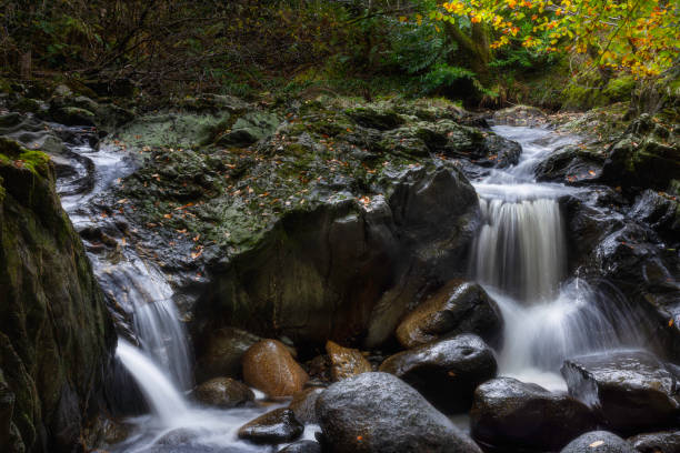 istock Waterfall in autumn coloured Scottish woodland 1185500895