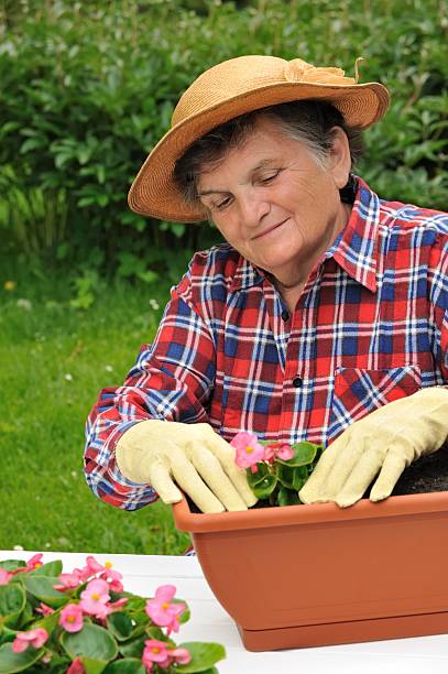 istock Senior woman- gardening 118550194