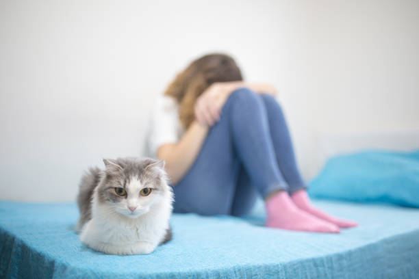 femme déprimée et son chat - illness domestic cat headache animal photos et images de collection