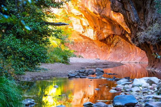 west fork canyon - autumn water leaf stream stock-fotos und bilder