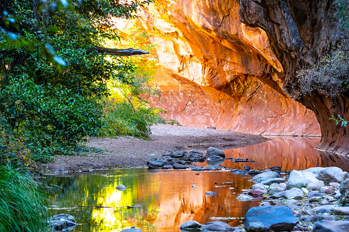 Fall colors and reflections in West fork canyon, Oak Creek, Sedona Arizona