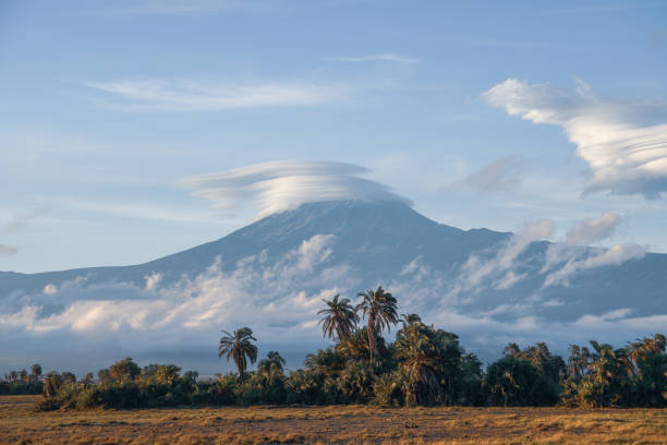 istock Beautiful view of Mt Kilimanjaro 1185508193