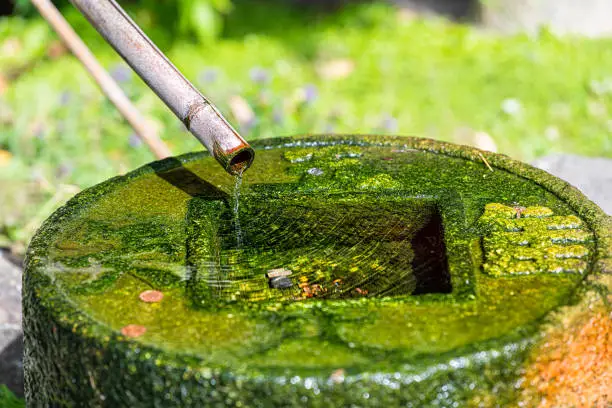 Water flowing from bamboo wooden tube into stone rock basin in Kyoto Japanese garden of Holland park in London, UK with green moss color