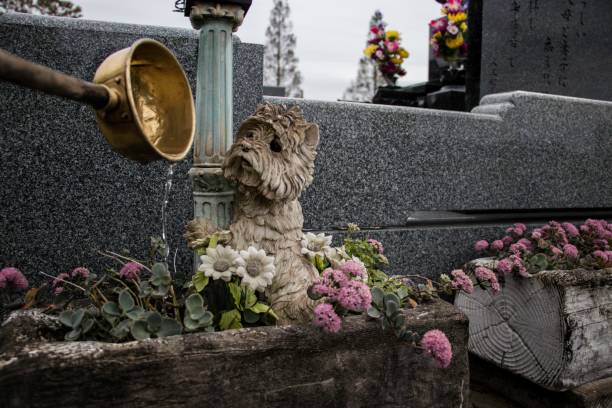 October 21, 2019. Pouring some water on a pet grave while on a cemetery in Kawakami, Japan.