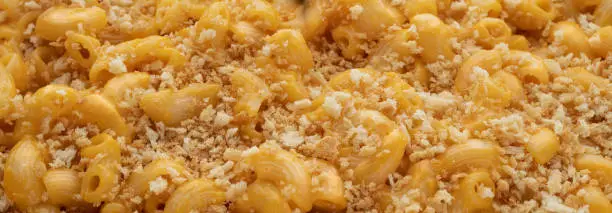 Panoramic photograph of a serving of mac & cheese with panko bread crumb topping.