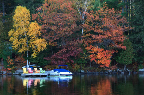 istock Colourful Adirondack Chairs on a Dock 1185513245