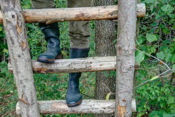istock Hunter with ubber boots is standing on the wooden ladder. 1185513316