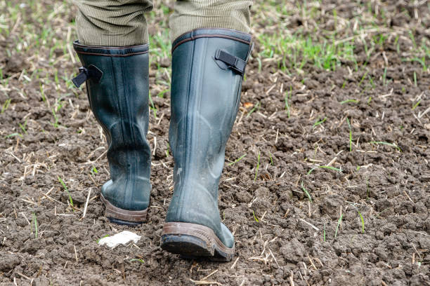 istock Rubber boots for use in agriculture. 1185513322