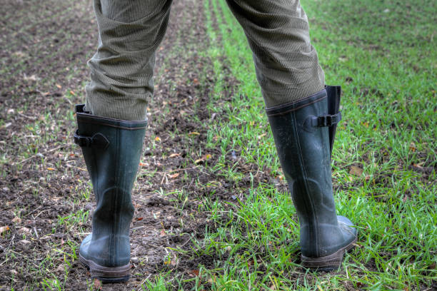 istock Rubber boots for use in agriculture. 1185513386